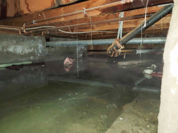 Best 24/7 water damage repair  in Mcadoo, PA
