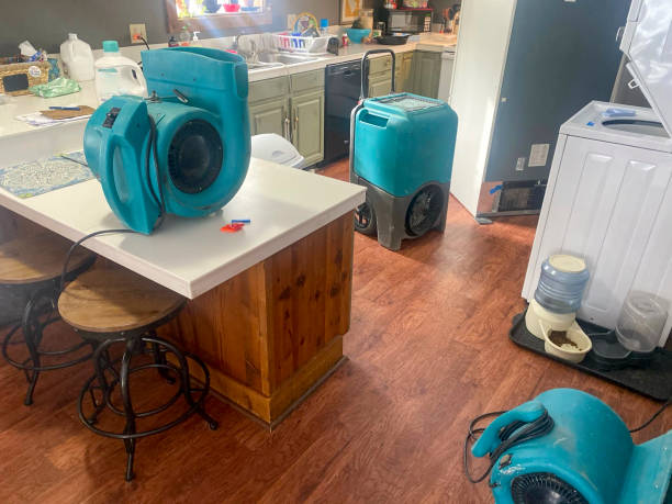 Best Water damage restoration insurance claims  in Mcadoo, PA