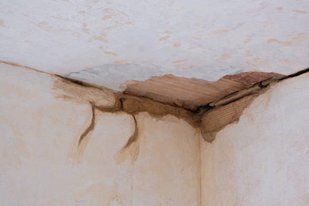 Best Flooded house restoration  in Mcadoo, PA