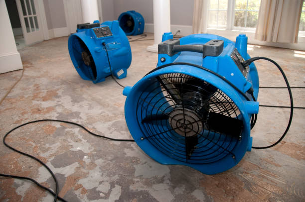 Trusted Mcadoo, PA Water damage restoration Experts