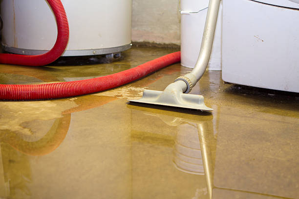 Best Ceiling water damage repair  in Mcadoo, PA