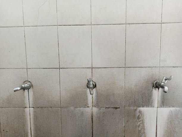 Best Water damage contractors near me  in Mcadoo, PA