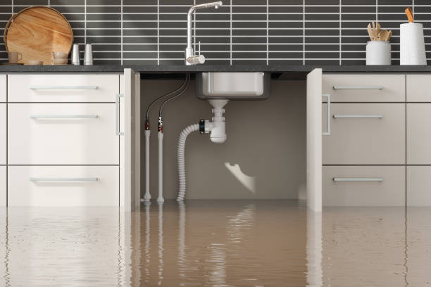 Best Emergency water damage restoration  in Mcadoo, PA